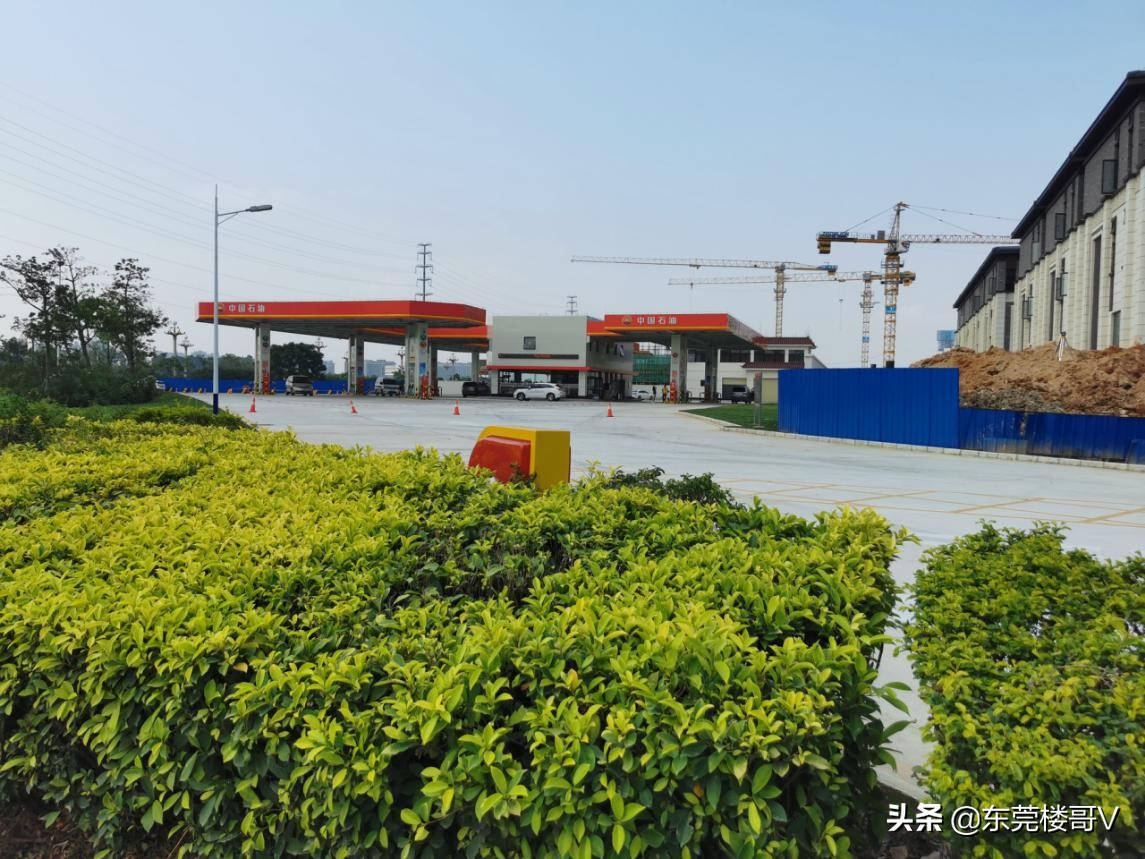 新城区招商雍华府值得购买吗,东莞雍华府房价