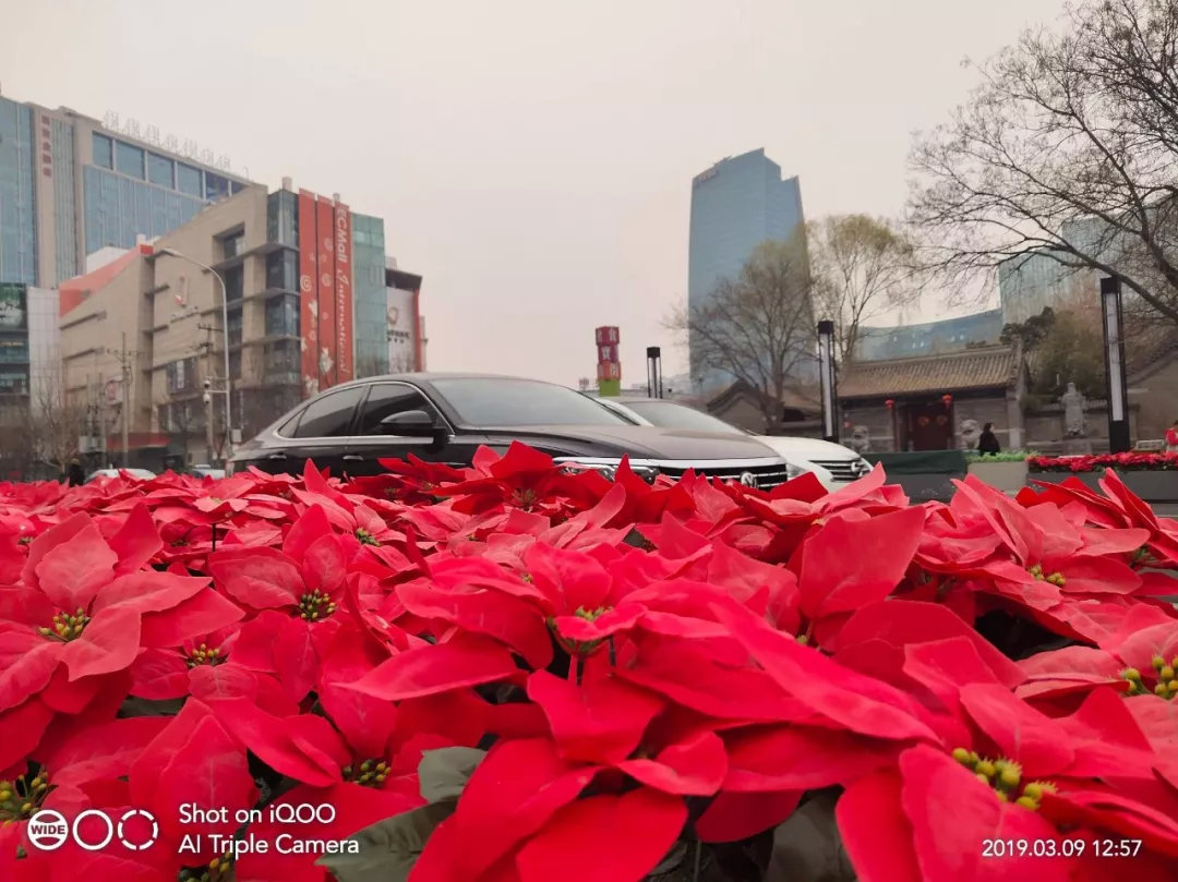 iqoo深度评测,iqooz7手机评测