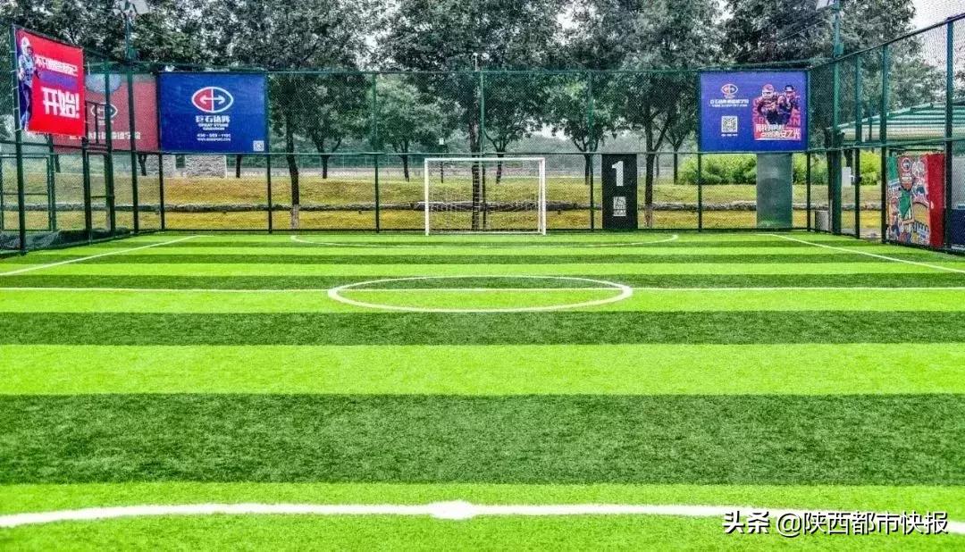 西安体育中心场馆,西安免费开放的体育馆