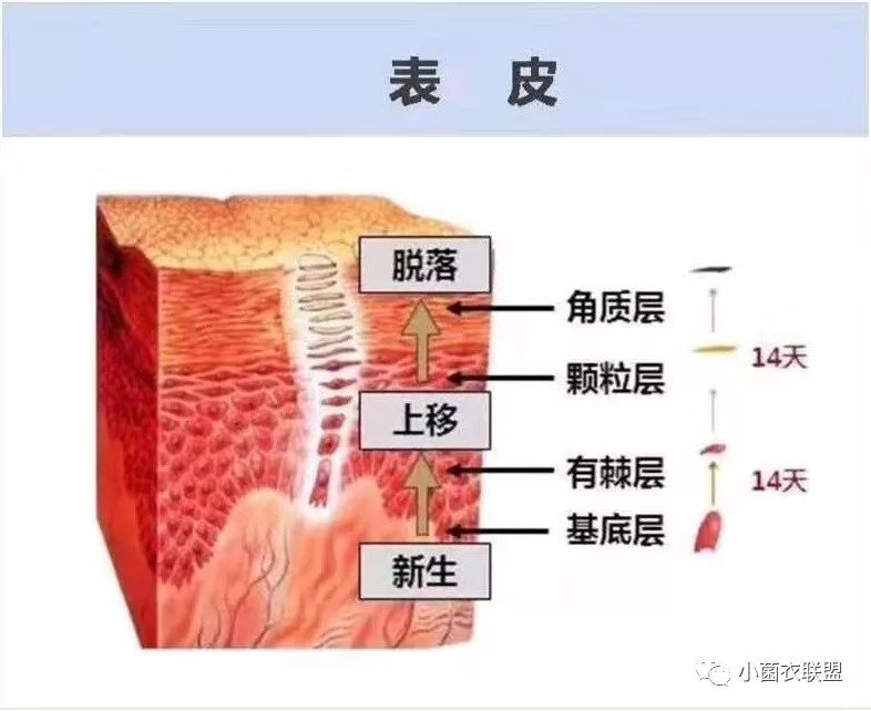 马油能治愈脚气吗,脚气可以治愈吗