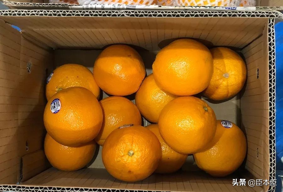 酸甜口的橙子适合怎么吃,鲜橙子怎么挑汁多的