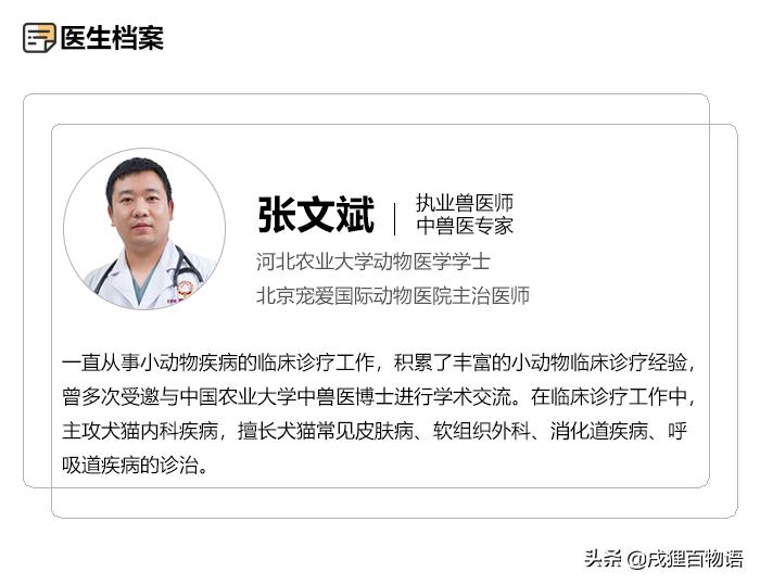 猫咪得了猫瘟如何治愈,猫咪得了猫瘟怎么帮助它挺过去