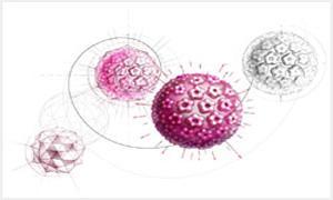 得了hpv打九价能预防宫颈癌吗,hpv阳性会判刑吗