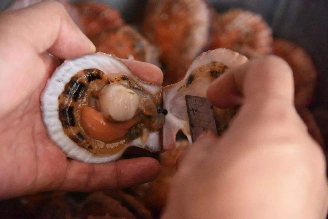 买这个食物一不留神就会上当,内行教你用4步轻松选到精品