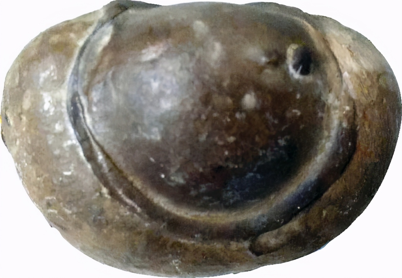 百宝筝议丨天陨灵石玩珍