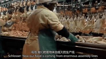 因为一个汉堡，她亲眼看着儿子死去！美国吃的食物到底有多脏...