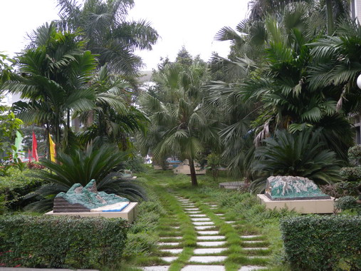 肇庆学校游玩,肇庆学院校园风景照片