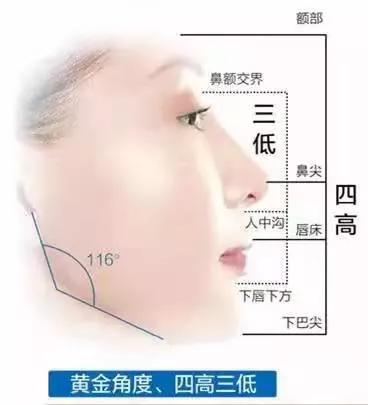 全脸填充真实视频,全脸填充是什么