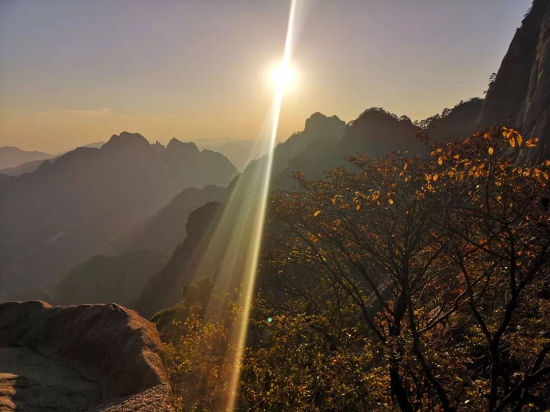 秋至黄山：当秋光与山色齐放