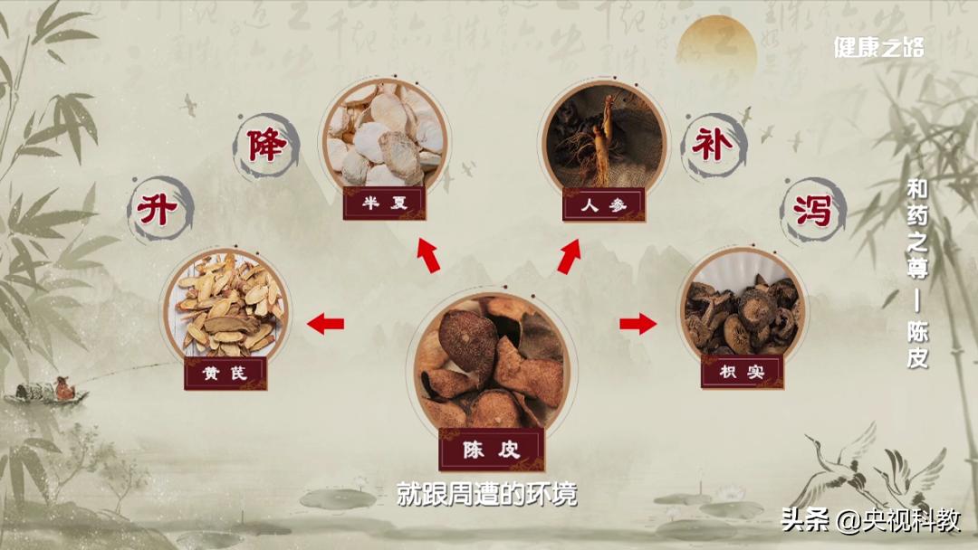 陈皮的十大秘密,陈皮是怎么变黄金