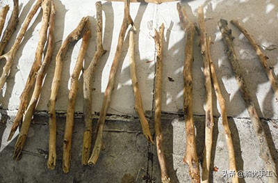 如何处理枯树枝和落叶,如何处理枯树枝图解