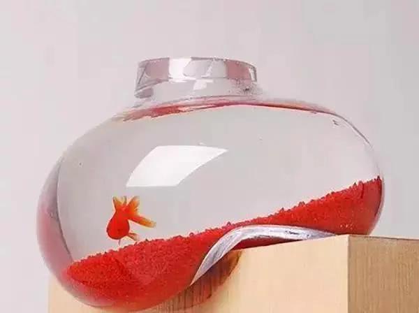 你淘宝上买过什么奇葩的东西,淘宝上的那些奇葩商品