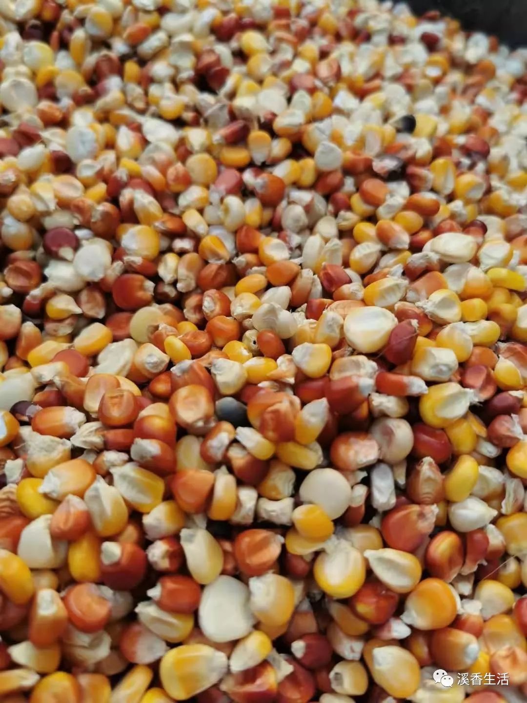 西溪南古村落惬意慢生活,徽州西溪南生活