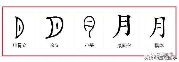 古诗词里的月亮说：一画月亮就是圆月，从前的常识如今少人知晓