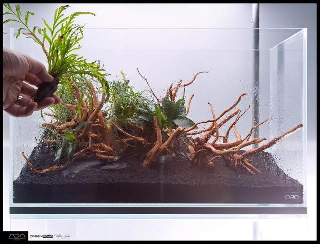 ada风格造景用什么底砂,鱼缸造景ada风格