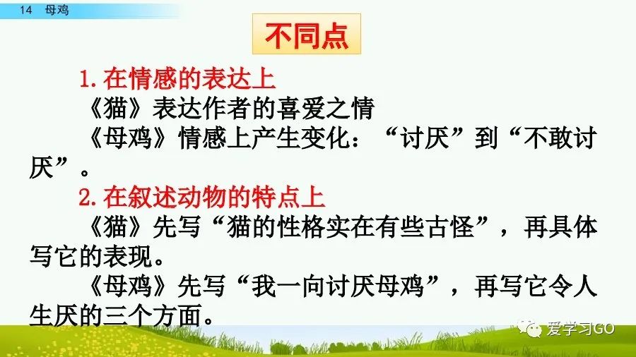 四年级下册语文母鸡课文重点讲解,四年级下册语文14课母鸡重点知识