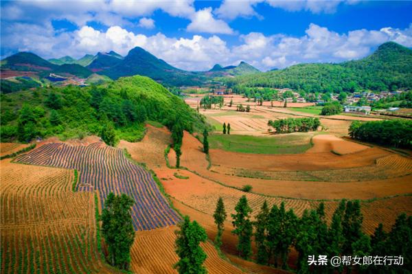 他山之石丨“拼”出新产业，小果子带来脱贫大希望，背后的故事都有啥