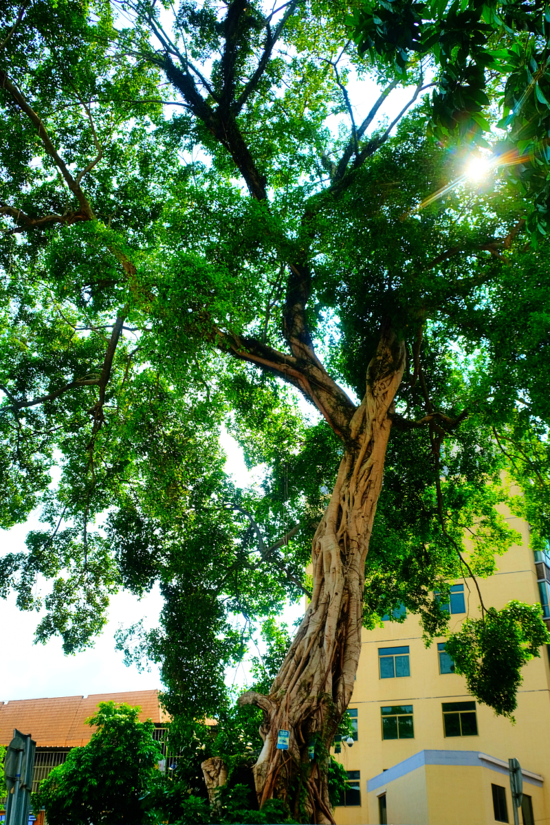 云浮小众旅游推荐,云浮小城