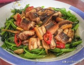 黎川水蕹菜和空心菜的区别,黎川水蕹菜与空心菜区别