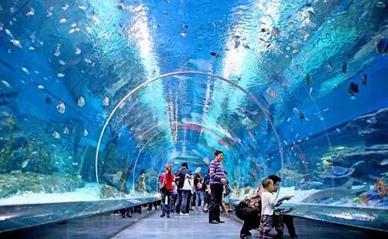 上海地铁旅游攻略免费景区,上海地铁游玩攻略免费