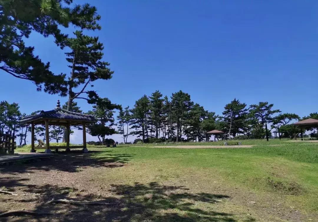 体验师木槿昔年和一群美丽的小姐姐们济州岛之旅