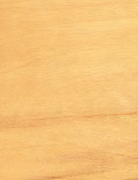 国外进口木材有哪些,进口木材种类名称大全图片及价格