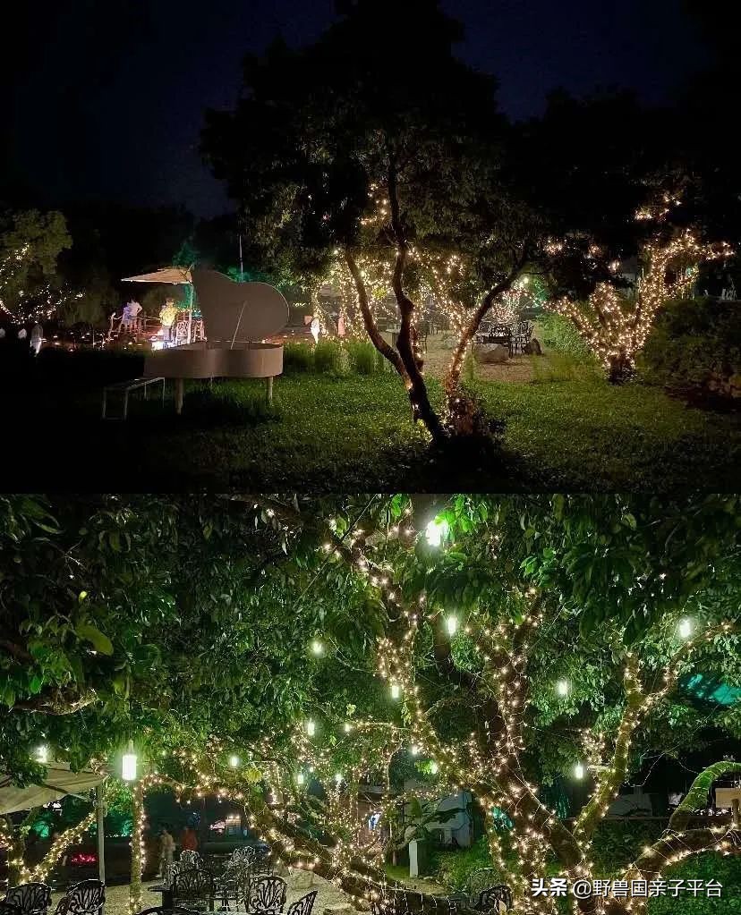 广州遛娃出游,广州遛娃3-4天攻略