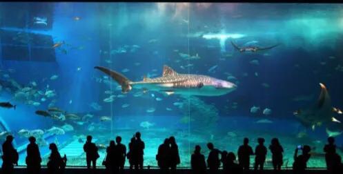 深圳暑假推荐地方,深圳适合高中生参观的地方