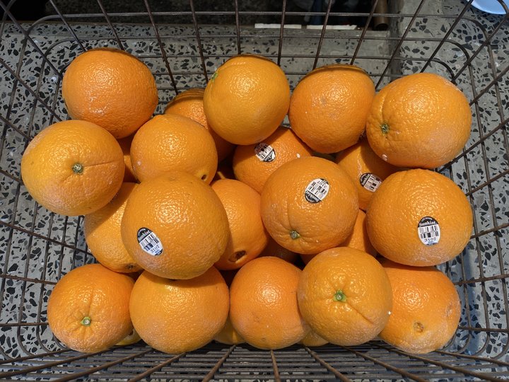 iphonese测评拆机,iphonese和iphone8对比外观