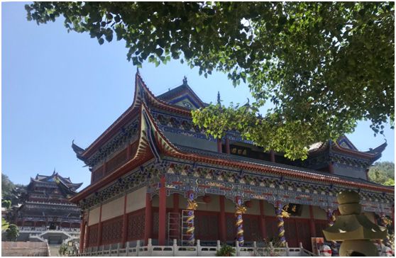 翁源东华地窖酒,韶关翁源赏荞麦花