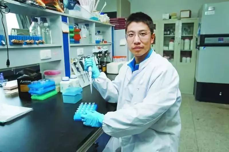 颜宁入选各学院院士候选人了吗,浙江最美教授颜宁