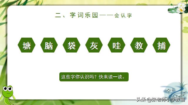 小蝌蚪找妈妈课程分享ppt,小蝌蚪找妈妈ppt教师讲解视频