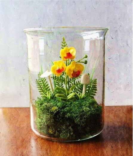 不用的杯子可以养什么花,不用的茶杯可以养什么