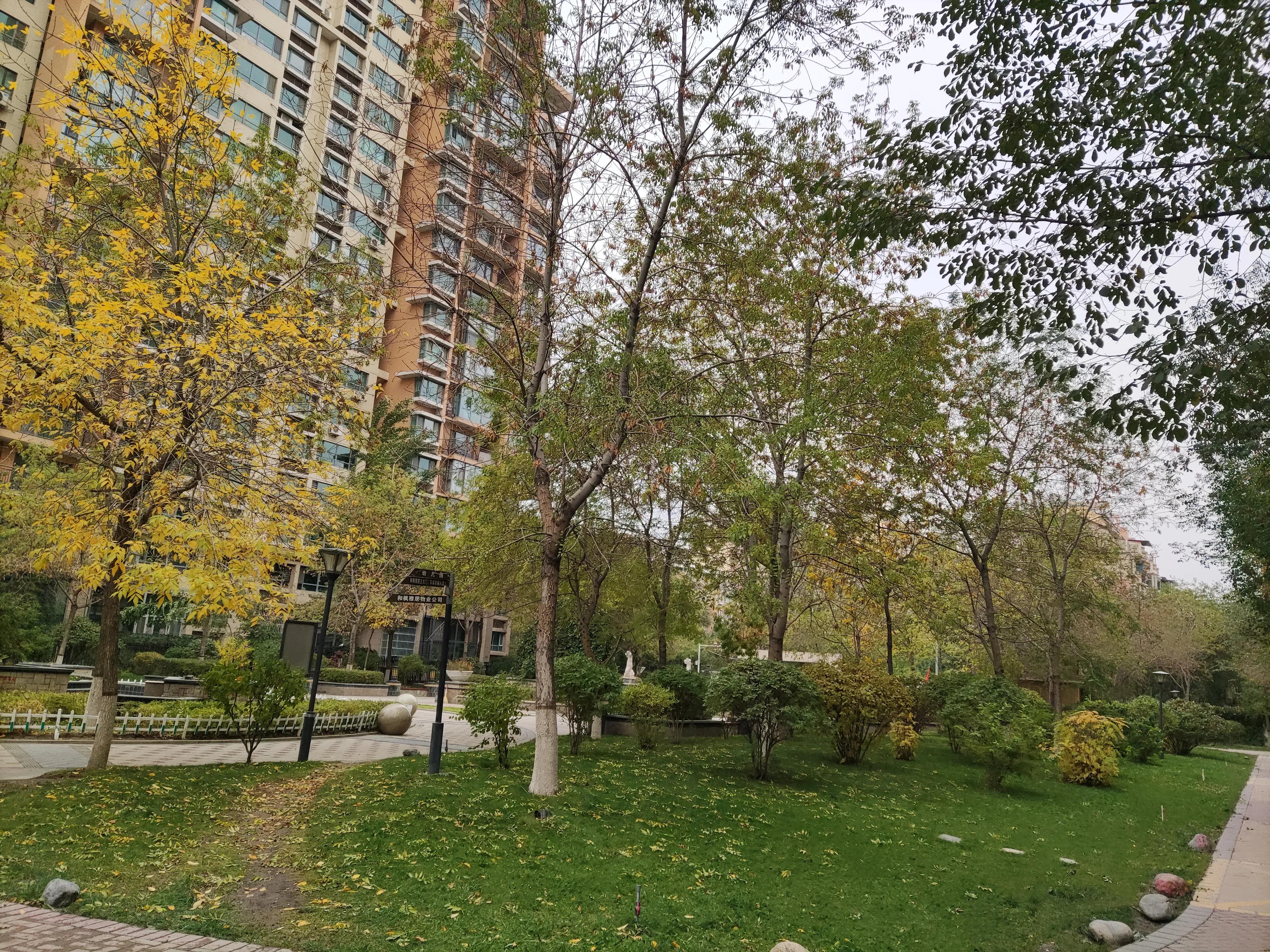 乌鲁木齐市南湖绿化广场附近小区,乌鲁木齐绿化最好的公园