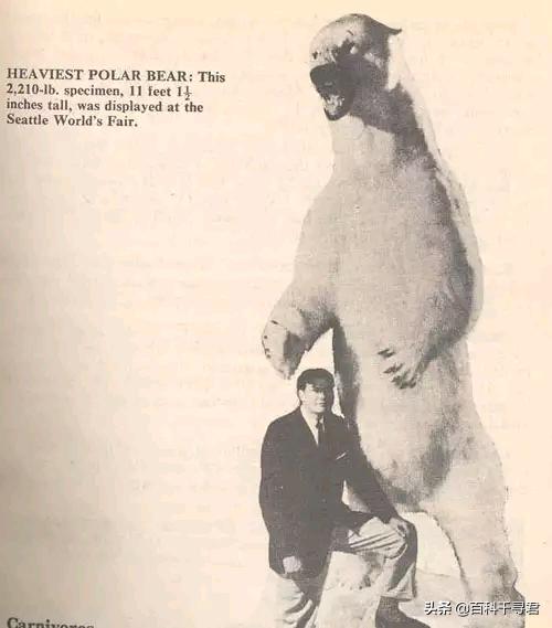 关于动物的10个伪事实你信了吗,关于动物的谣言许多人却深信不疑