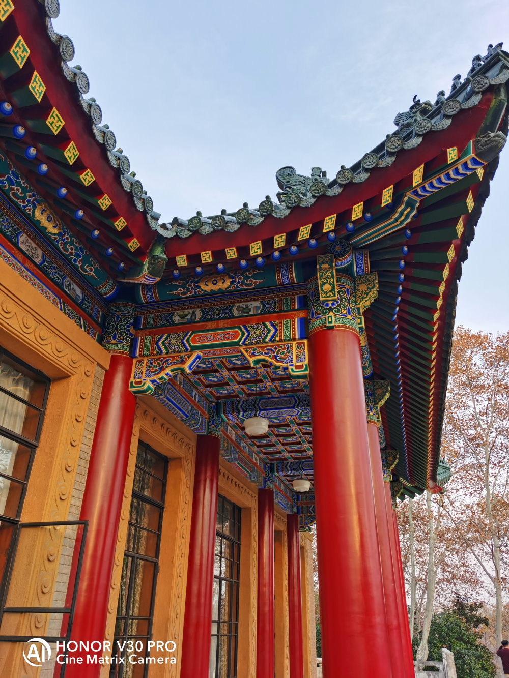 5g旗舰性价比高,nova65g和荣耀v30pro哪个好