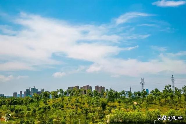 在武汉哪个区居住比较好,武汉居住哪个区比较好