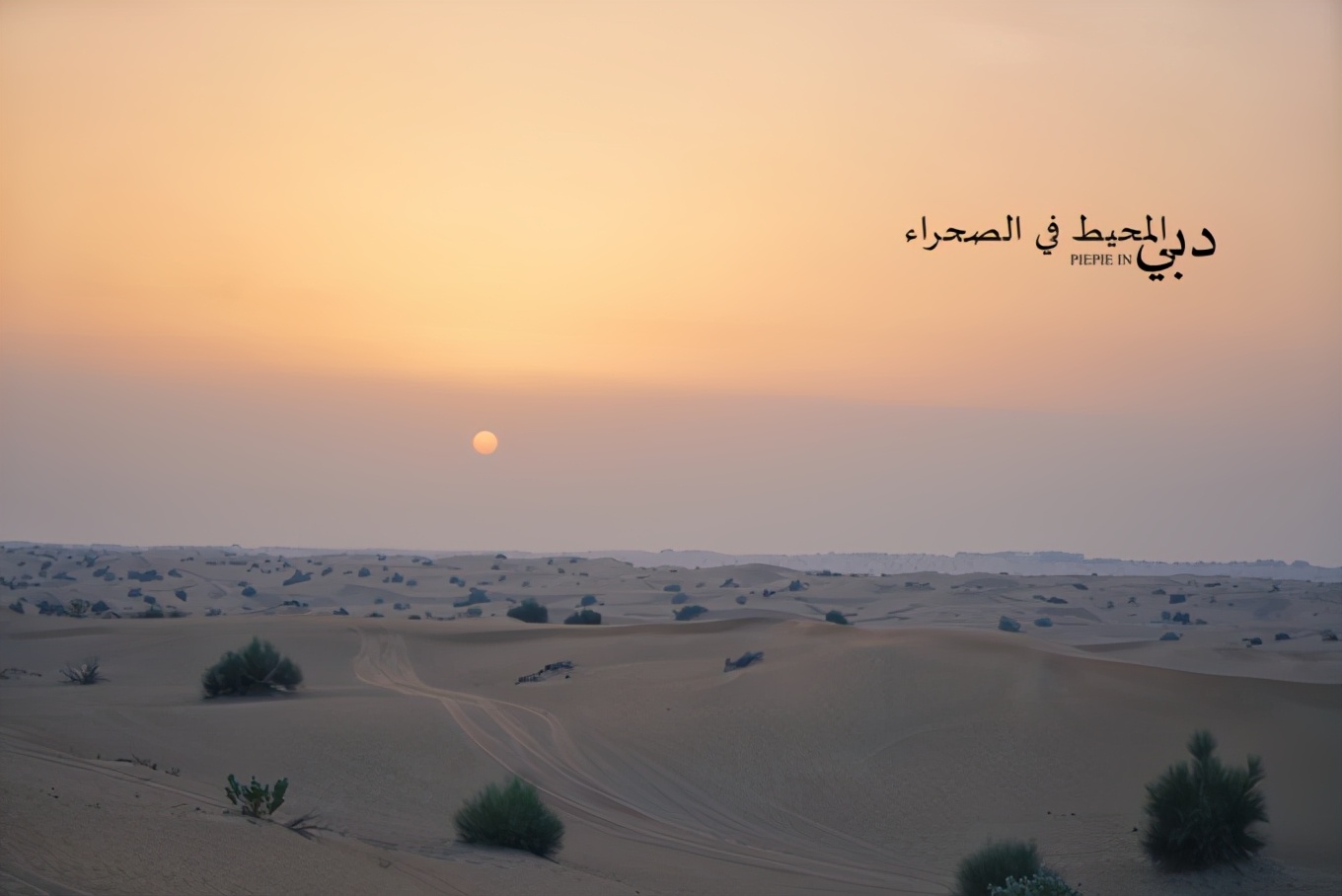 土豪之旅迪拜,迪拜土豪之旅