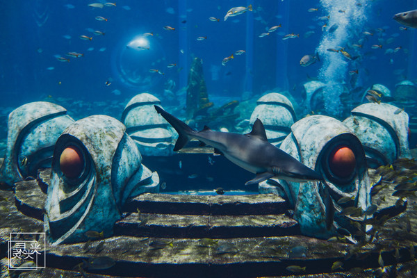 坐轮船多少钱三亚,去三亚坐轮渡7座车多少钱