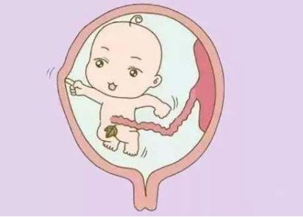 ​孕妇打喷嚏胎儿有什么反应？对胎儿有什么影响？