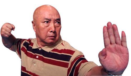 “螳螂拳大师”于海：曾随周总理外出访问，真正的武术家