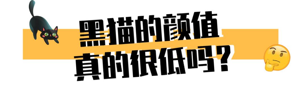 黑猫不吉利是谁说的,黑猫不吉利是真的吗
