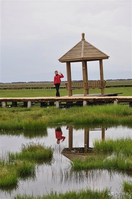 最新财税知识解答大全,财税热点与疑难问题解答