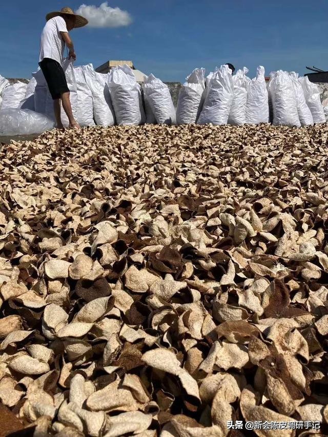 网购陈皮,网上买陈皮看什么标准