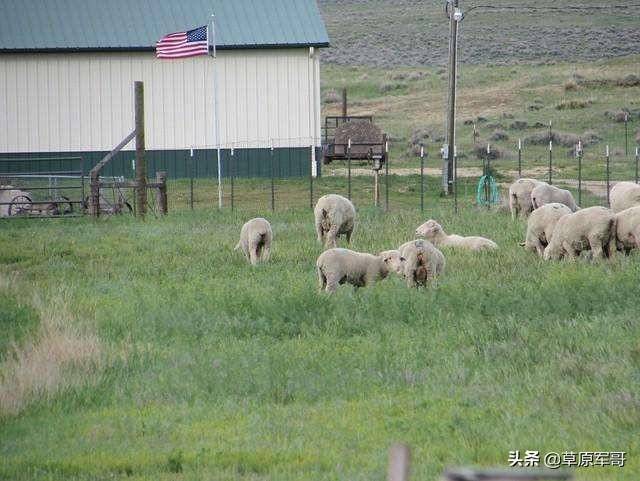 带你看看真实的美国生活,真实的美国生活到底是怎样的抖音