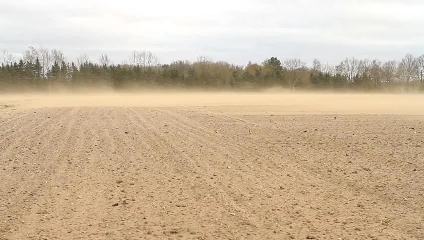 雾霾和沙尘暴天气的危害英文视频,雾霾天气保护措施英文