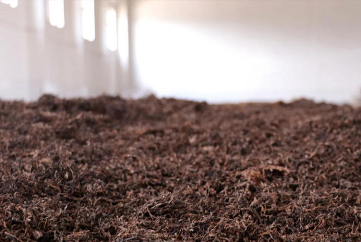 普洱茶老茶梗的口感,冰岛老茶头和普通老茶头的区别