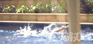 爆笑GIF趣图:美女,这射的是丘比特之箭吧