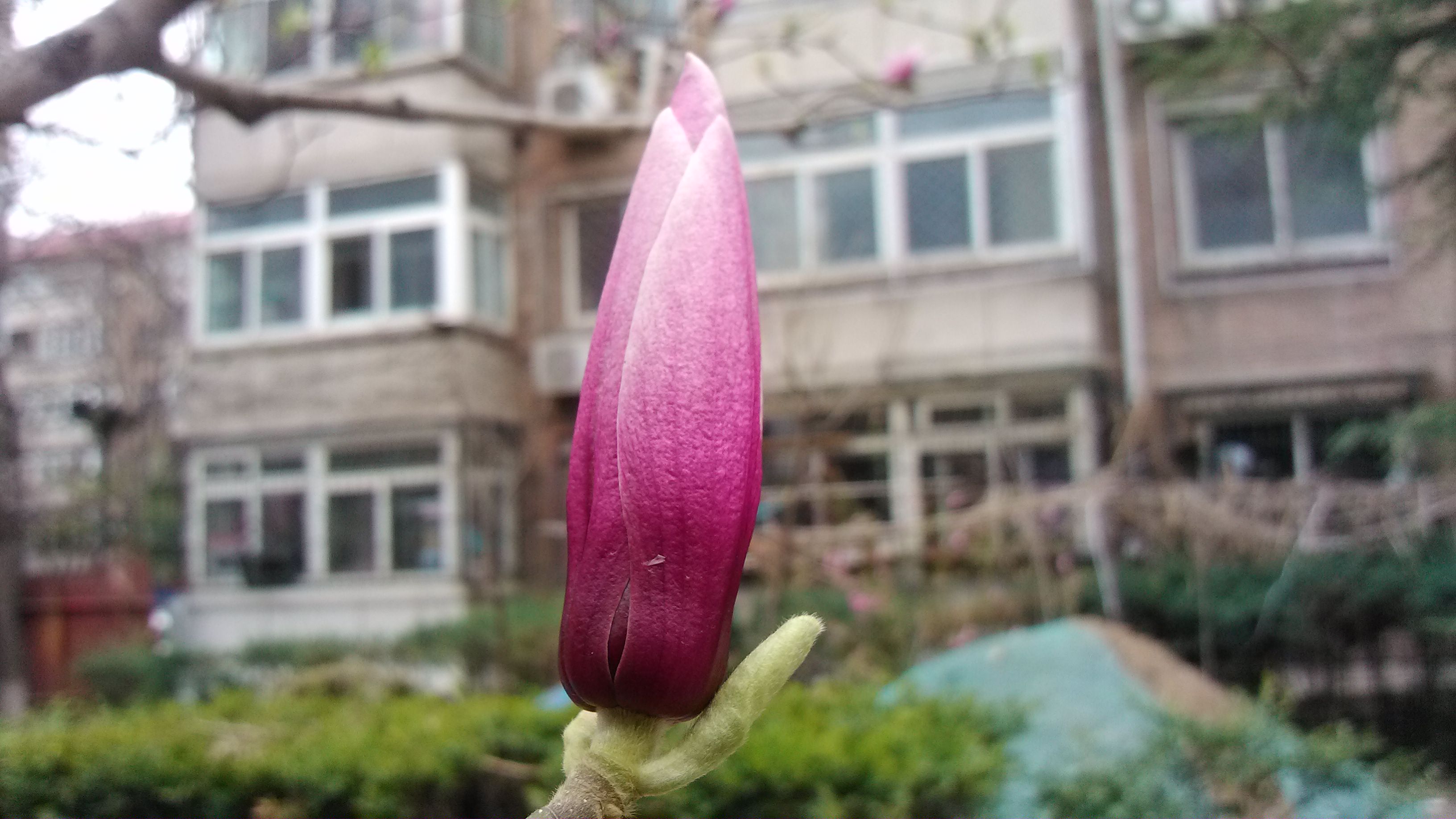 小米MI电信版8周年纪念