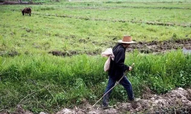 开瓶后窜出咬人的蛇为何蛇在酒中泡这么久不死